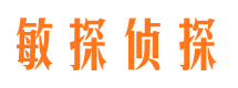 辰溪侦探公司